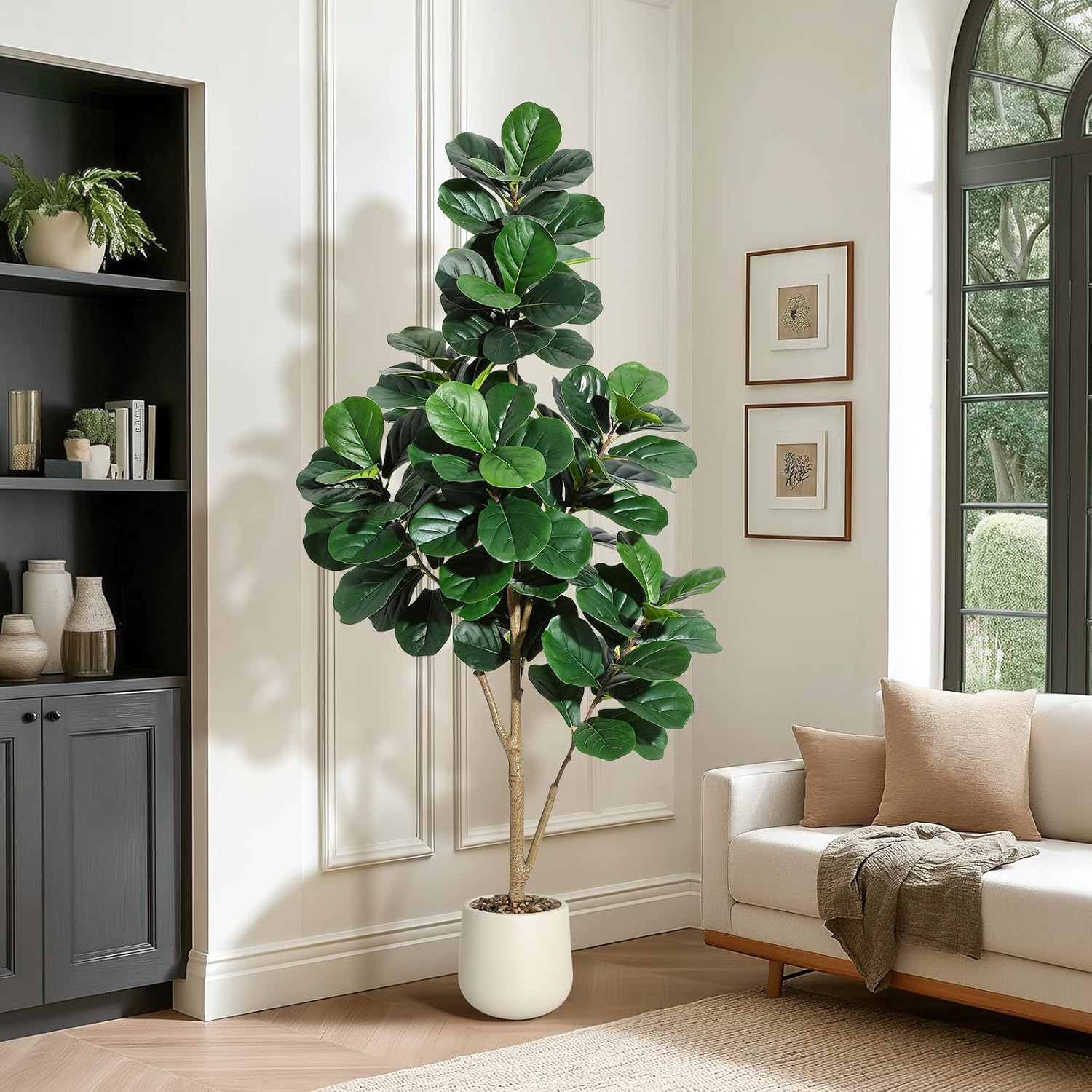 4-7 FT Fiddle Leaf Fig Tree Ar - Plant Parents 评论和价格