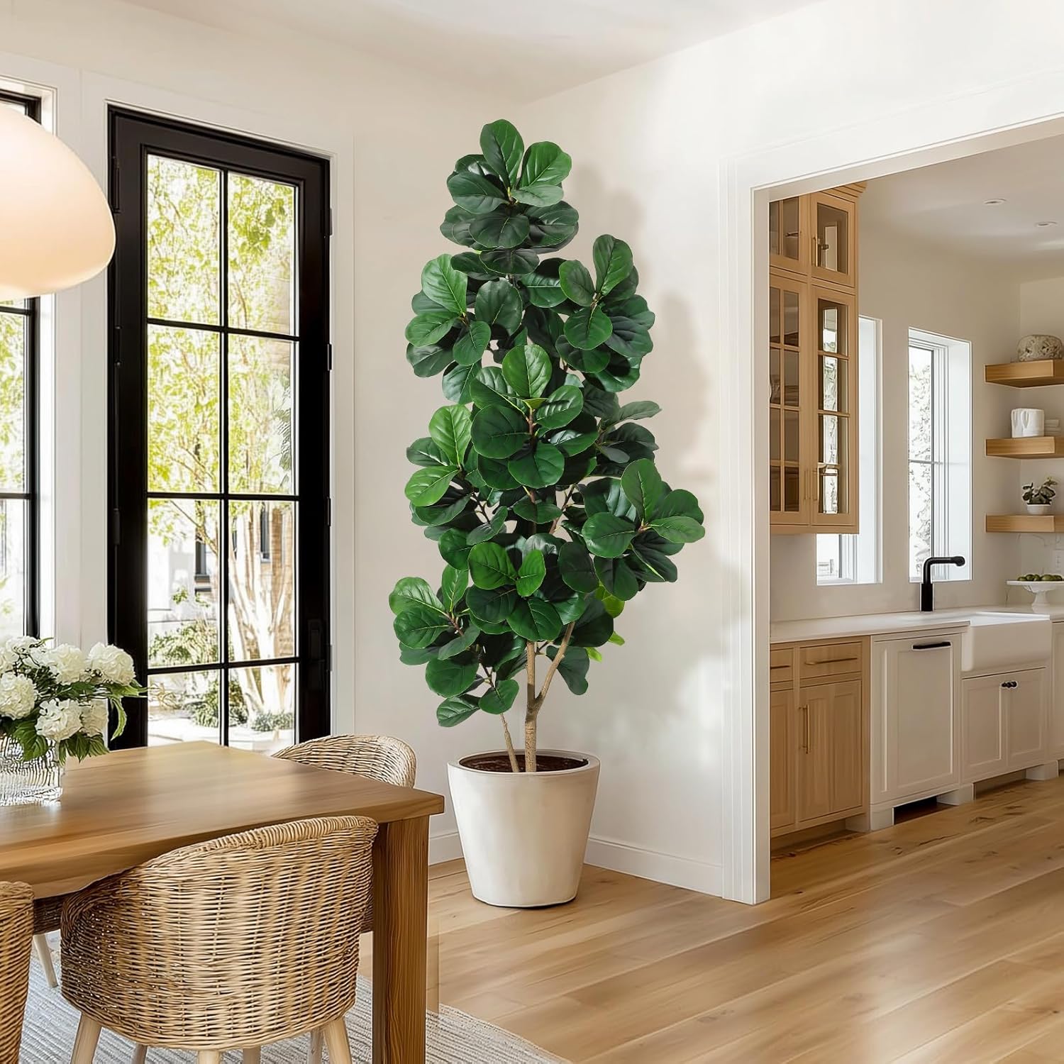 4-7 FT Fiddle Leaf Fig Tree Ar - Plant Parents 评论和价格