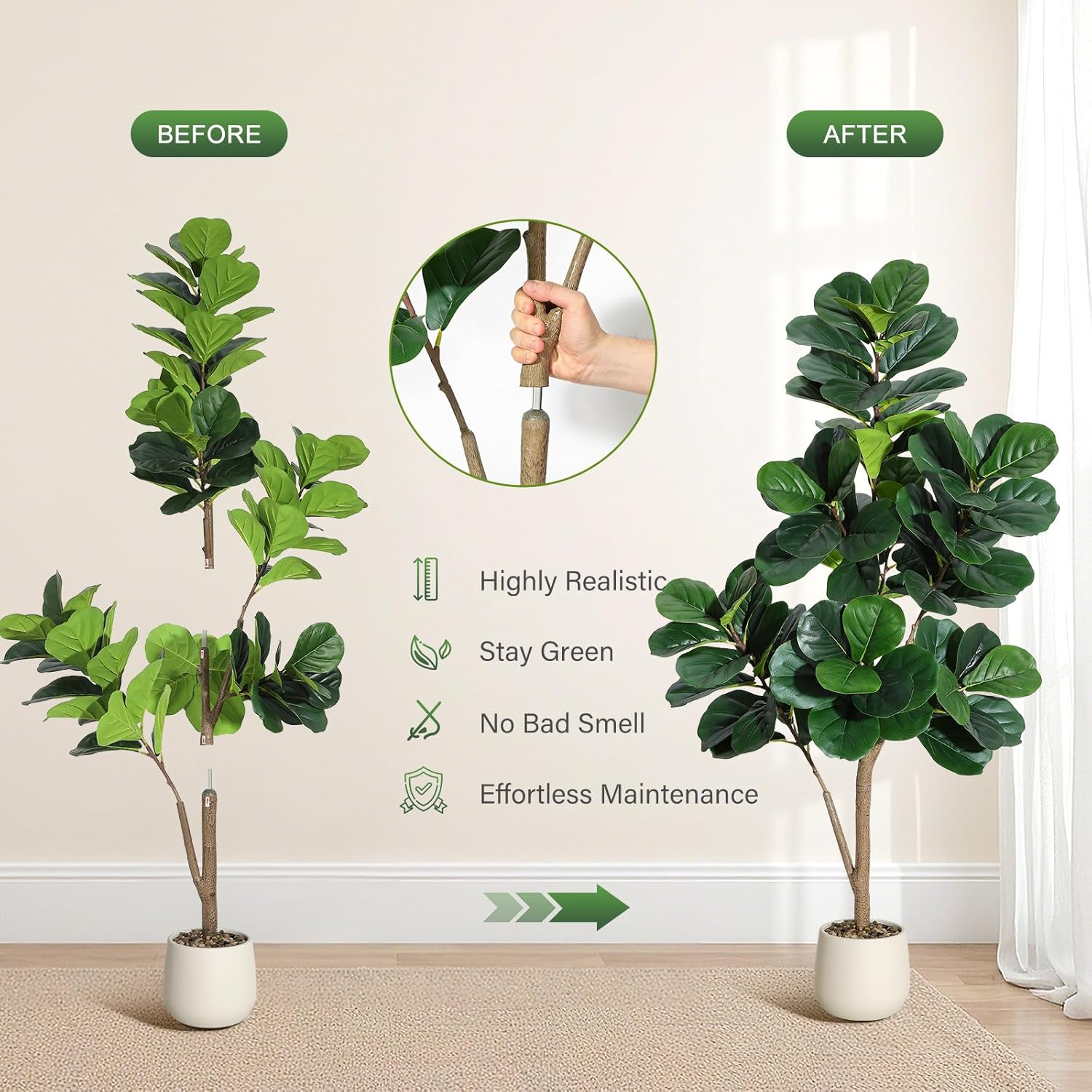 4-7 FT Fiddle Leaf Fig Tree Ar - Plant Parents 评论和价格