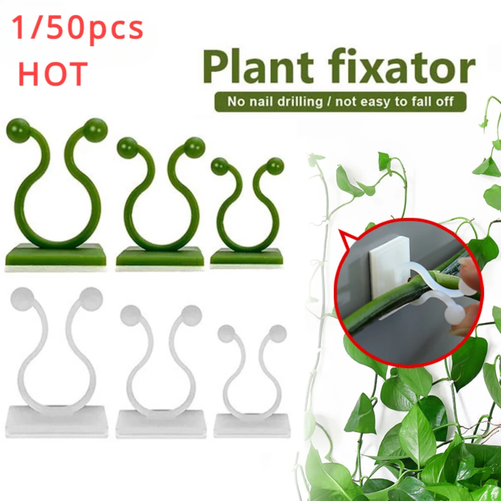 1/30/50Pcs For Garden Accsesor - Plant Parents 评论和价格