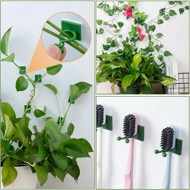 1/30/50Pcs For Garden Accsesor - Plant Parents 评论和价格