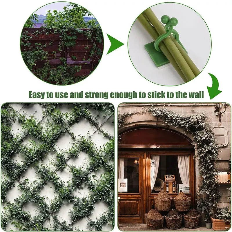 1/30/50Pcs For Garden Accsesor - Plant Parents 评论和价格