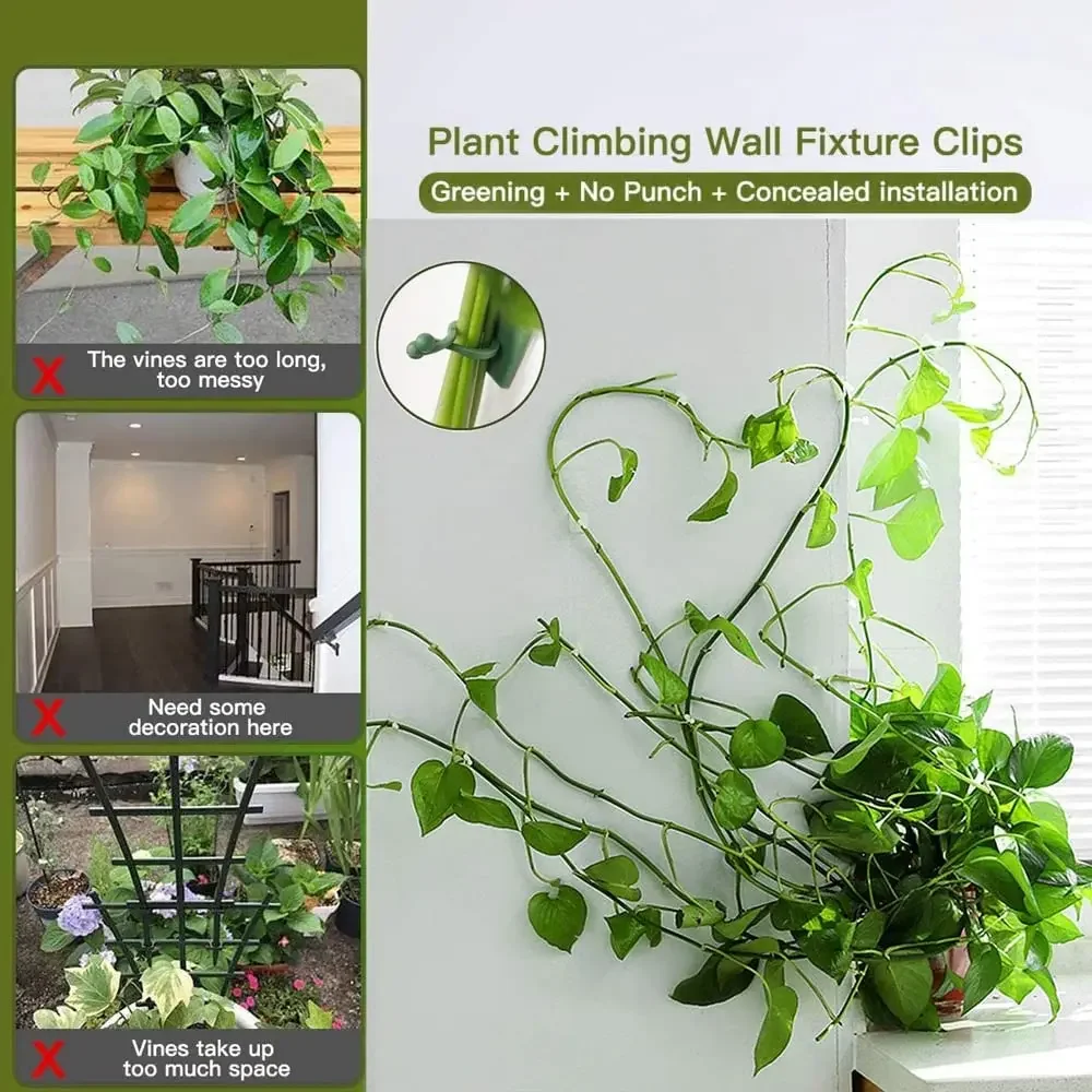 1/30/50Pcs For Garden Accsesor - Plant Parents 评论和价格