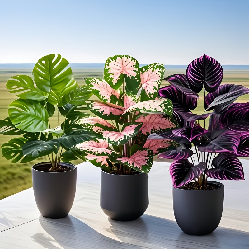 3Pcs Mixed Artificial Plant Se - Fiddle Leaf Fig 评论和价格